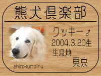 �I�[�i�[�́A�͂邩����ł���